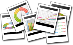 BIRT Interactive Viewer for iServer